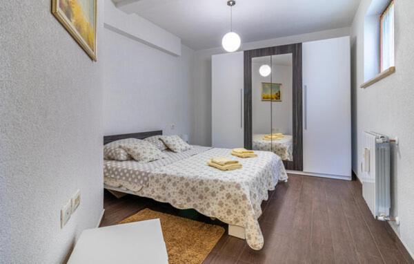 Apartmani Antonio Motovun Esterno foto